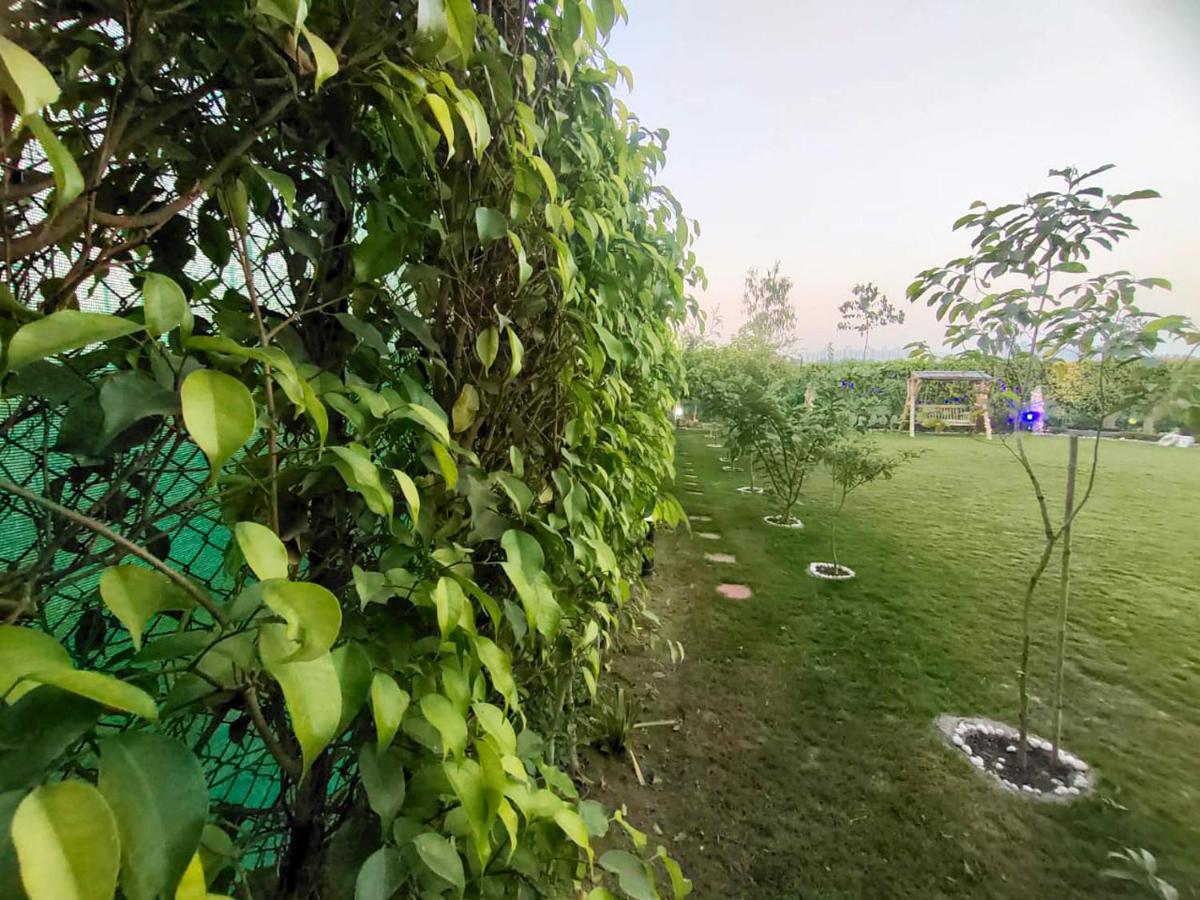 Shaw Estate-Farm House For A Small Parties-Jp Farm Greater Noida Esterno foto